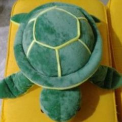 University Media Science.